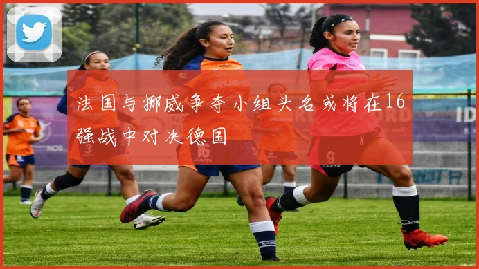 法国与挪威争夺小组头名或将在16强战中对决德国