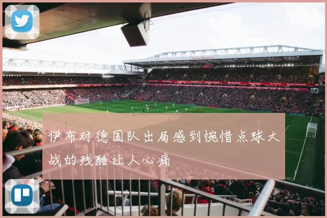 伊布对德国队出局感到惋惜点球大战的残酷让人心痛