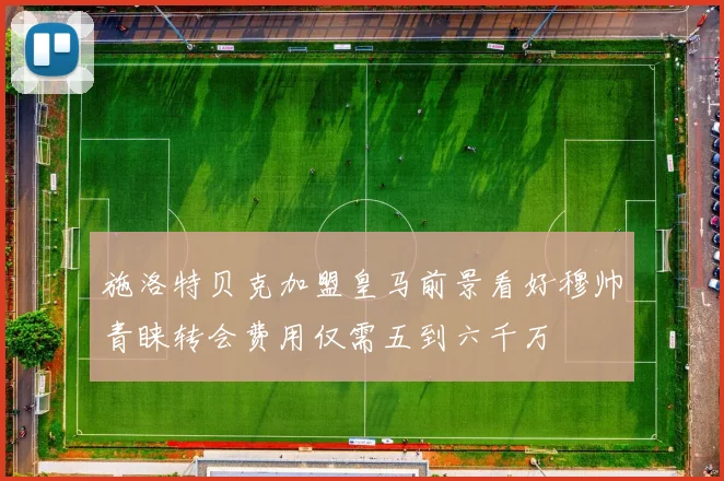 施洛特贝克加盟皇马前景看好穆帅青睐转会费用仅需五到六千万